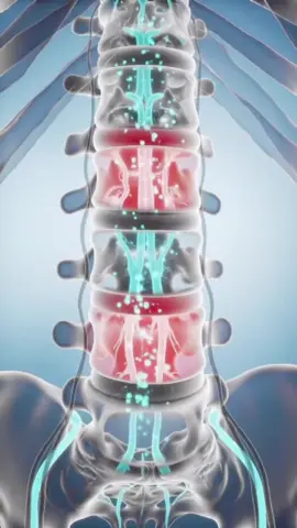 💥 Mi dolor de rodilla y columna desapareció. ¡Descubre la semilla milagrosa que regenera tus tendones y articulaciones! 💥 #SemillaMilagrosa #DolorCrónico #RemedioNatural #TendonesSanos #SaludArticular 