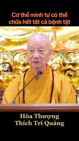 Con xin tri ân công đức về bài giảng của Thầy#daophattrongtraitimtoi #niemphat #phatphapnhiemmau #hoathuongthichtriquang #songxanh #anchayniemphat #chualanhtunhien #chualanh #xinthuongniemadidaphat🙏 