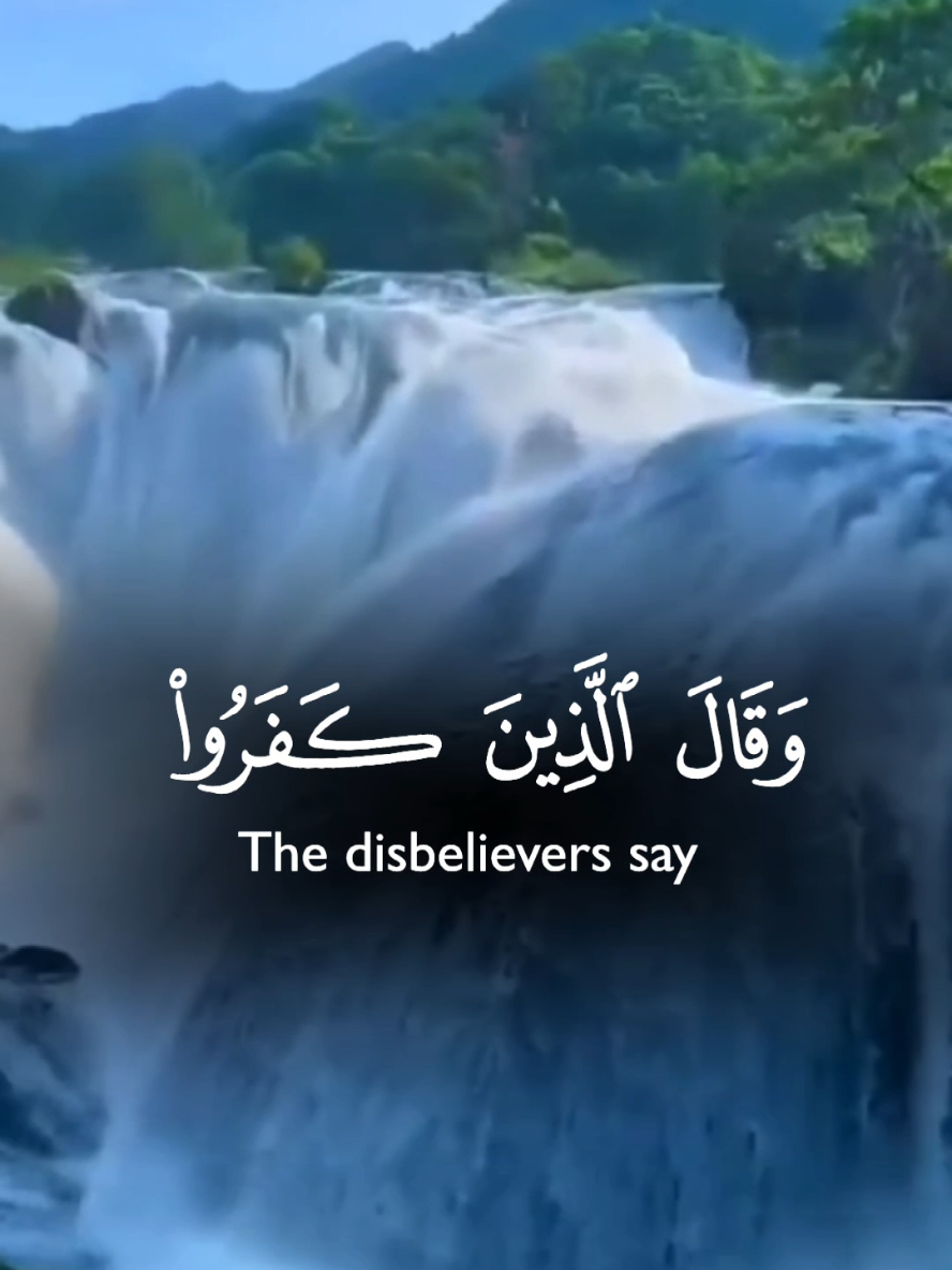 Recitation from the Holy Qur’an by Sheikh Yaser Al-Dosari 🌿 #quran #Yaser_AlDosari #QuranRecitation #islam #explore