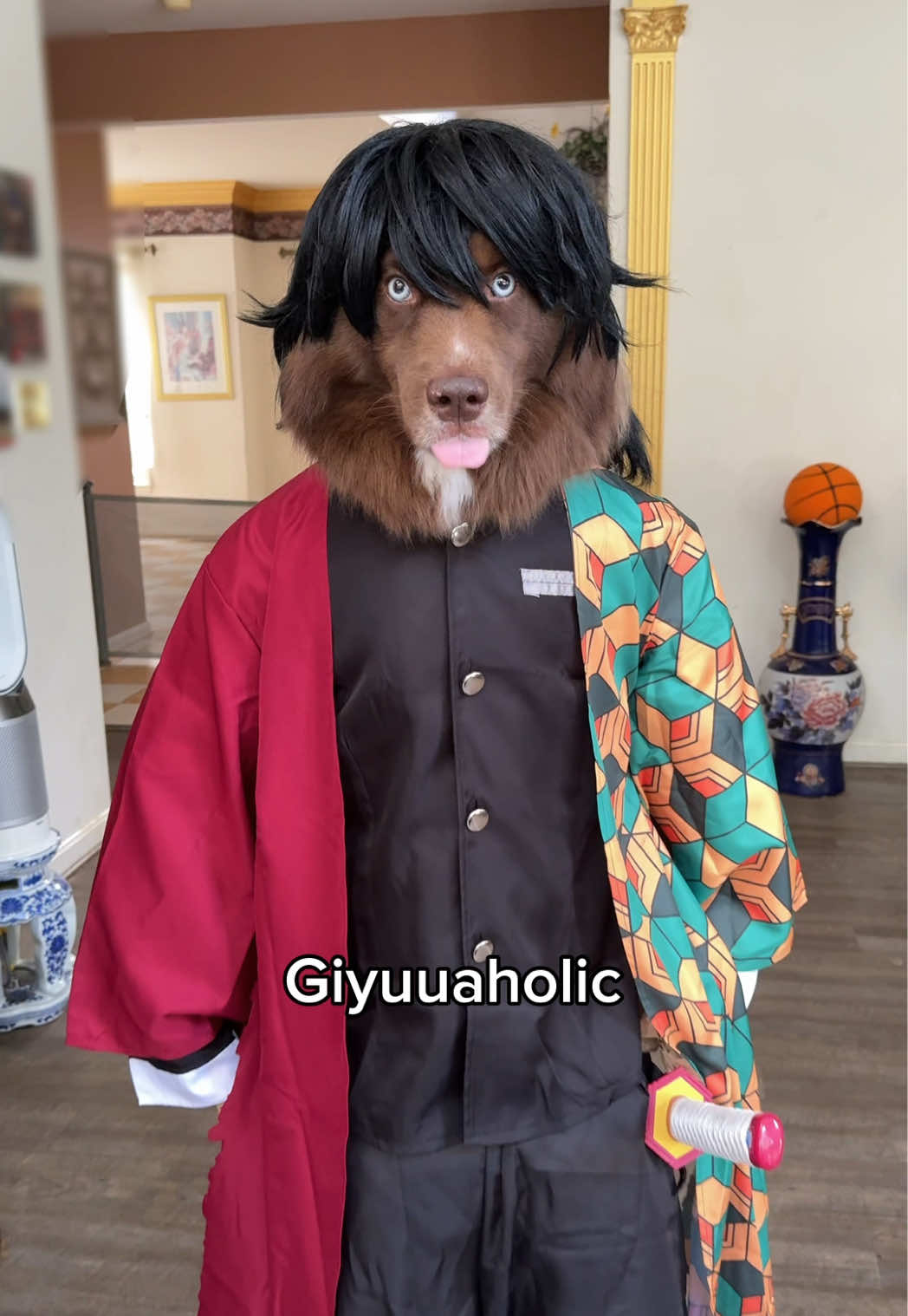 who’s your fav Hashira? #giyuutomioka #demonslayer #cosplay #dogcostume #dogswearingclothes 