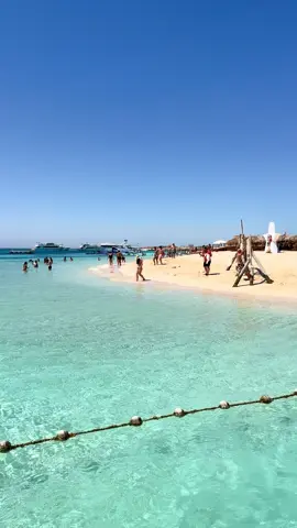🏝️ Hula Hula Island – Your Paradise Escape! ✨ 🚤 Speed, sun & snorkeling 🤿 ☀️ White sands & crystal-clear waters 🍽️ Lunch & drinks included 📍 Departure 9 AM – Return 4 PM ✨ Everything you need for a perfect Red Sea adventure! Book now - +201070302053 #hulahula #hurgada #egypt 