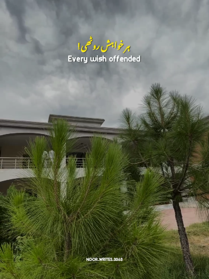 Dreams have all be Stolen 💔🥺 || Lines ❤️‍🩹 || Life Lines 🎀 || Touching lines ❤️‍🩹 || Status Video ✨ #fyp #lifelines #touchingwords #statusvideo #foryoupage 