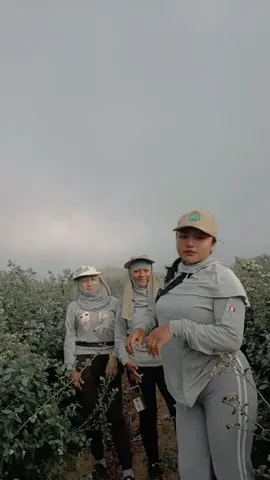 #sapea_sin_sufrir😂😜🐸 #sigueme_y_te_sigo #camposolperu😅🤭 #sigueme_para_mas_videos_ #cosechadearandano🫐 