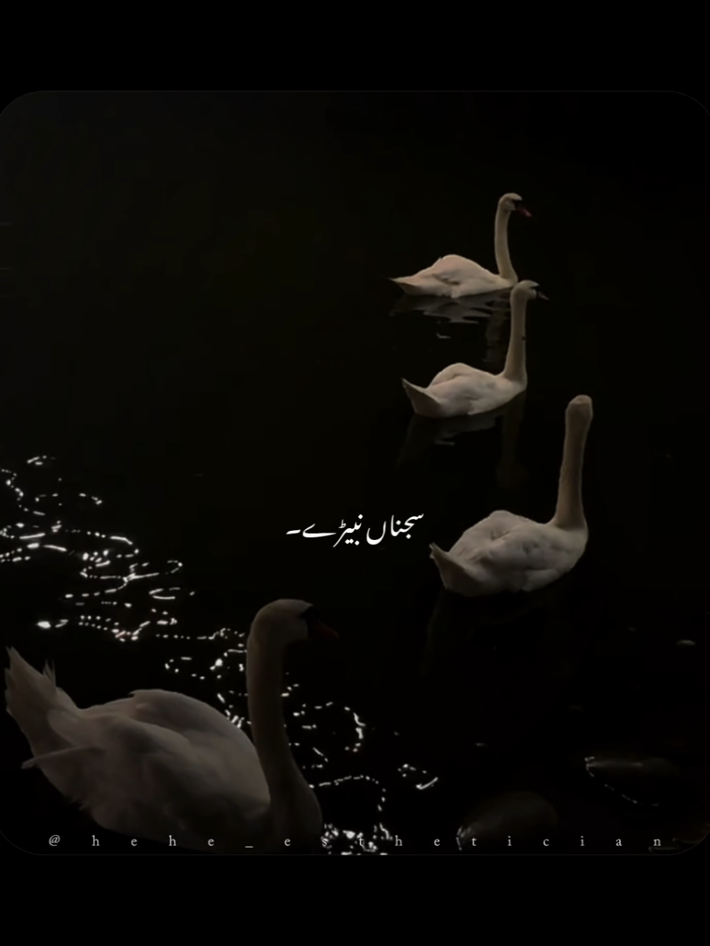 ~𝘙𝘰𝘰𝘩 𝘥𝘪 𝘵𝘢 𝘚𝘢𝘫𝘯𝘢...🦋                                                                                          #musiclyrics #trendingsongs #darkvibes #aesthetic #onesidedlove 