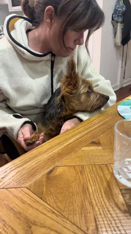 The battle between my parents to win the dog’s affection 🤣 #dad #dog #dadsoftiktok #lilstace #fyp 