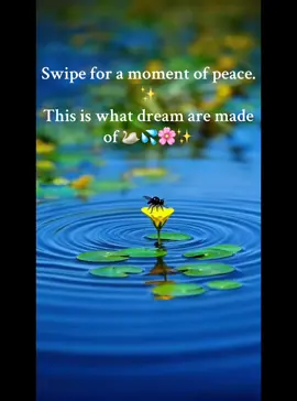The grateful swan or child lily pad? 🦢Vs. 🌸#chooseyourvibe #naturephotography #aesthetic #wildlife #calm @tiktok creators 