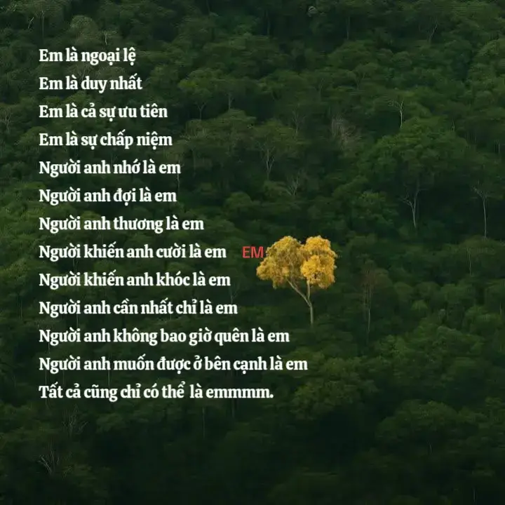 Em có thể không nhớ anh Anh sẽ luôn nhớ đến em  Em có thể không cần anh Anh sẽ luôn tìm kiếm em Em có thể không ở lại cùng anh Anh sẽ luôn ở lại đây chờ đợi em  Em có thể quên đi những lời cùng hứa  Anh sẽ luôn làm như những gì anh đã hứa..