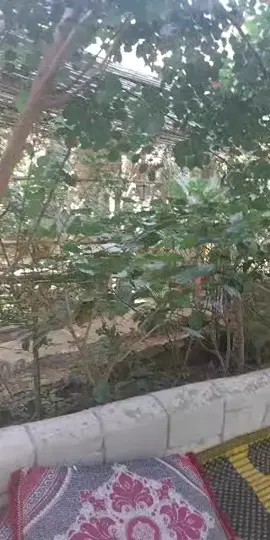 #tiktoklive #livehighlights