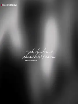 میں بچپن میں کھلونے توڑتا تھا مرے انجام کی وہ ابتدا تھی #unfreezemyaccount #realityofshadow #blackpoetry #foryoupage #freephalestine🇯🇴 