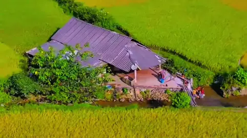 “Nếu là bạn dám ở đây cùng người mình thương …#xuhuong #chill #mientay #tamtrang #xh 