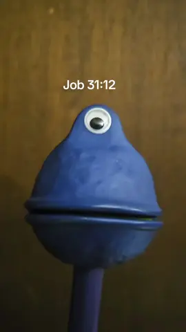 Job 31:12 #Mordechaipuppet #godsword #holybible #bibleversedaily #fyp 