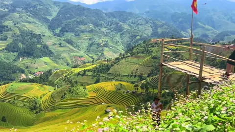 Bao nhiêu bức ảnh, bao nhiêu video cũng không thể lột tả hết được vẻ đẹp của núi rừng Tây Bắc #mucangchai #taybac #canhdep #vietnamtoiyeu #xuhuongtiktok 
