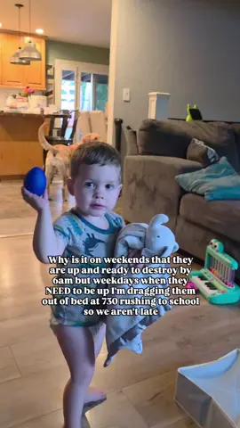 I know I can't be the only one whose kids are up super early and wild and crazy on the days that we can ACTUALLY sleep in - but on days when I need them to get up and get ready its a nonstop fight 😅😅.  We set alarms and try to do a more gentle wake up but there's no denying my kids despise being woken up - Camden especially. Carolynn is a bear to try to wake up but usually I can play some music and convince her eventually... tell me I'm not the only one 😭😅🫠 #momlife #relatable #momhumor #relatablemom 