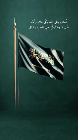 #SaudiNationalDay_95 #السعودية🇸🇦 #دام_عزك_ياوطن🇸🇦 #مشاهدات 