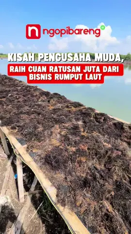 Di usianya 22 tahun, Vito Reyner Adriananda bukan hanya mahasiswa Fakultas Perikanan UNAIR, tapi juga Direktur PT Rejeki Bintang Samudera, pelopor budidaya rumput laut. Dari IT ke perikanan, kisahnya membuktikan kerja keras dan keberanian buka jalan sukses muda Indonesia! 