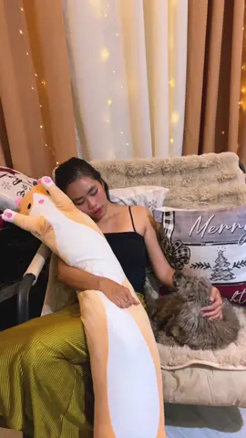 check out nyo na habang may stocks pa, long cat pillow gandang pang gift ✨ #catpillow #catplushie #longcatpillow #giftidea 