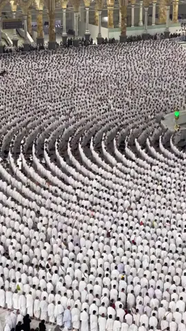 MashaAllah ♥️❤️❤️♥️❤️♥️