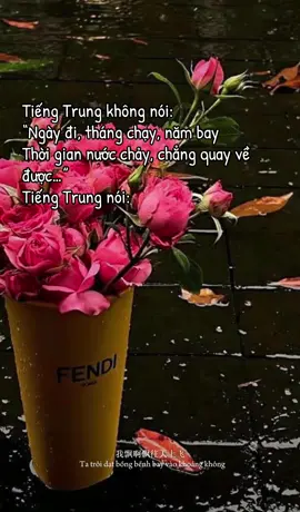 Đi với nhau một đoạn đường dài như thế, cuối cùng vẫn phải nói… “tạm biệt”!! #cunghoctiengtrung #radiotiengtrung #学中文 #tiengtrungnungniu #xiaoheng19 