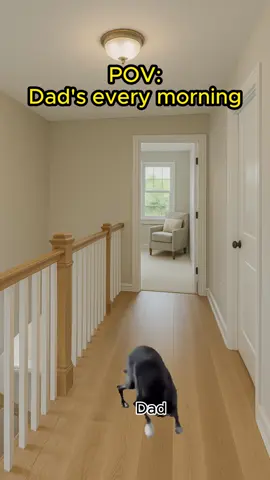 I swear this is a universal experience😭 #catmemes #relatable #catmeme #dad 