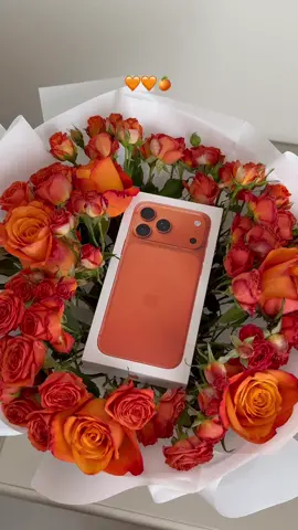 #اليوم_الوطني #اكسبلور #ايفون17 #iphone17 #الرياض 