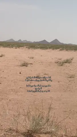 سنام#FN #اشعب_اصيني_ماله_حل😂😂 #explore #مطير_اهل_الثلاث_المعجزات #حركة_إكسبلور 