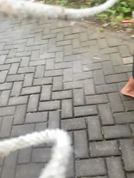 stecuu #dadisaktiasoy💥 #dadisakti #fyppppppppppppppppppppppp @BANTENG DADI SAKTI 