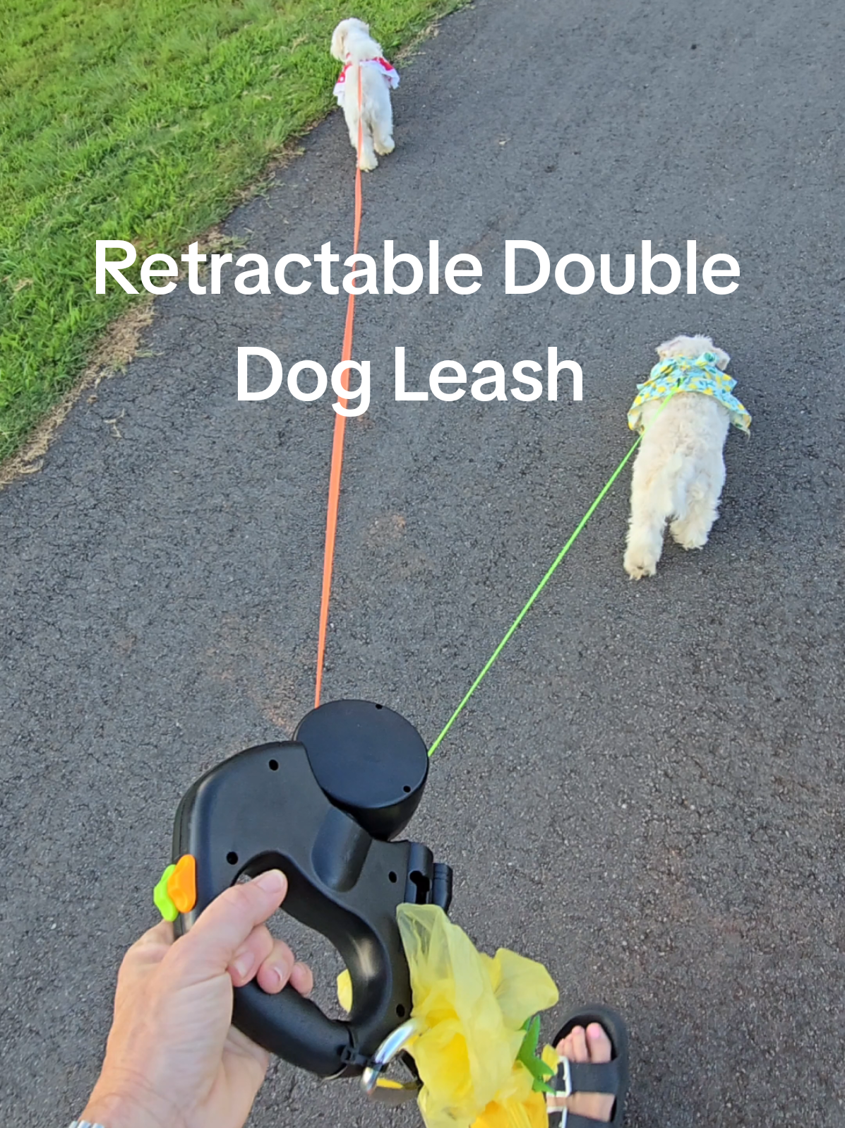 This retractable Double dog leash makes our walks so much easier! My two puppies don't get tangled & I only have to hold one leash! #dog #walk #leash 