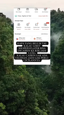 PENCAIRAN LIMIT SHOPEPAYLATER #shope #spinjam #gestunshopeepaylater #shopepaylater #spaylater 