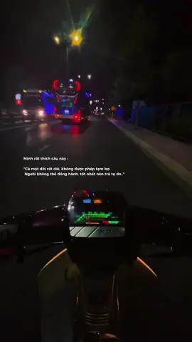 #dream5482 #daixuanluong 