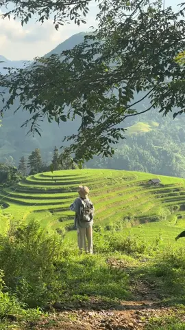 Nếu bỏ lỡ lúa Bản Phùng, thì lúa Nậm Khoà, Nậm Hồng vẫn còn xanh lắm, vẫn kịp.  #Hoangsuphi #Hagiang #namkhoa #Vietnam #bymochiii 