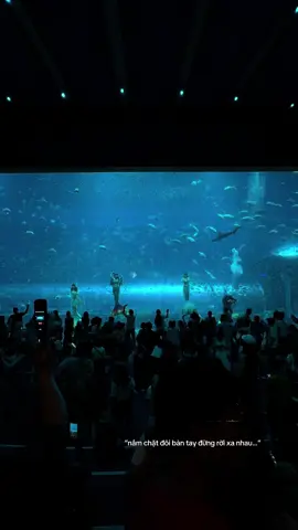 #VinWonders #GreenCreator #dulich