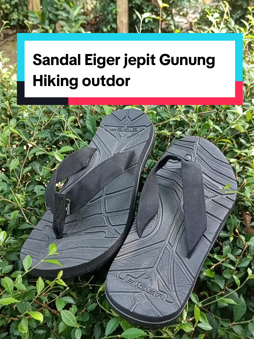 Sandal Eiger jepit Gunung Hikiing #sandalpria #sandalwanita #sandaljepit #sandaloutdoor #sandalgunung 