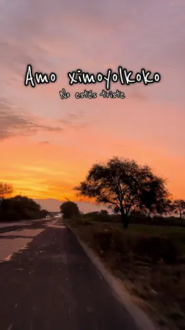 Frase en náhuatl #xipatlani #náhuatl #idioma #aprendenahuatl #mexico 