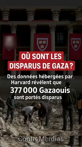 #livefestseries #fyp #pourmoi 