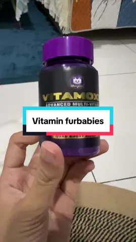 Ramai catparents yang suka vitamin ni. #vitaminkucing #vitamoxx #catlover #catsoftiktok #catsupplements 