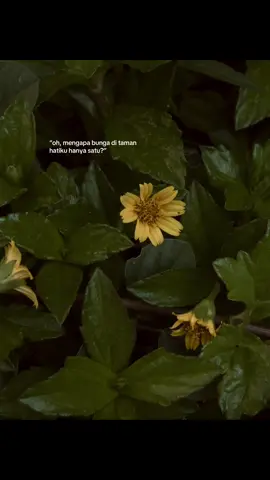 sepenggal lirik ini menempel di benakku sepanjang hari, membuatku berpikir bahwa manusia selalu memiliki satu hal yang digenggam erat. satu hal yang tak akan berubah, satu hal yang selalu ada di dalam hatinya, satu hal yang menjadi alasannya tetap hidup. satu bunga di taman ini menurutku banyak rupanya, bisa jadi mereka yang kita kasihi, bisa jadi mimpi yang terbengkalai. bagaimana rasanya kehilangan mimpi? atau bagaimana rasanya kehilangan mereka yang kita kasihi?  bunga lain mungkin akan tumbuh seiring berjalannya waktu. namun, satu bunga yang layu itu akan terus mengakar, menjalar di dalam kekosongan.  #lihatkebunku #poetry 