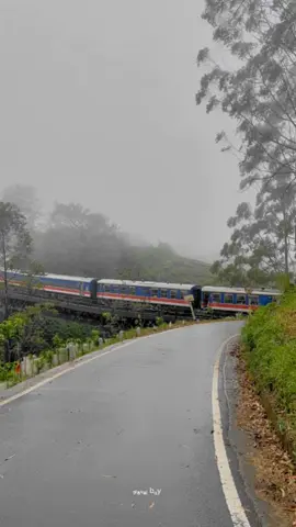 වැස්සයි 🌧️  +කෝච්චියයි 🚂 +  මීදුමයි 🌫️   🥺🍃 #nanuoya #train #srilanka #foryoupage #fyp 