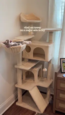 My cats are OBSESSED with this cat tower 🤍✨ #cattower #cattok #catsoftiktok 
