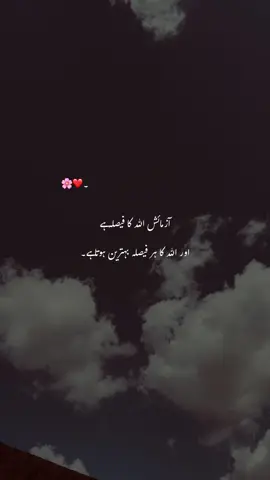 Haan Yarr /// 🥰🌸🥀#newacount #foruyou #viralvideos #afidi #lover @TikTok 