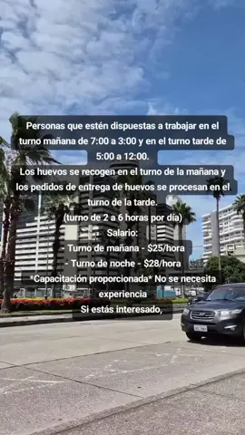 #fypecuador🇪🇨 #ecuadortiktok #ecuador🇪🇨 #jobs 