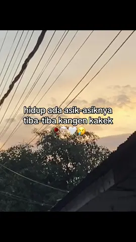 #masukberandafyp #trendingfypシ #rameinyuk #fotolive #loveyoukakek🥺 