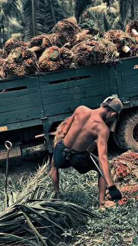 #CapCut #fyppp #kulisawit #paprandom 