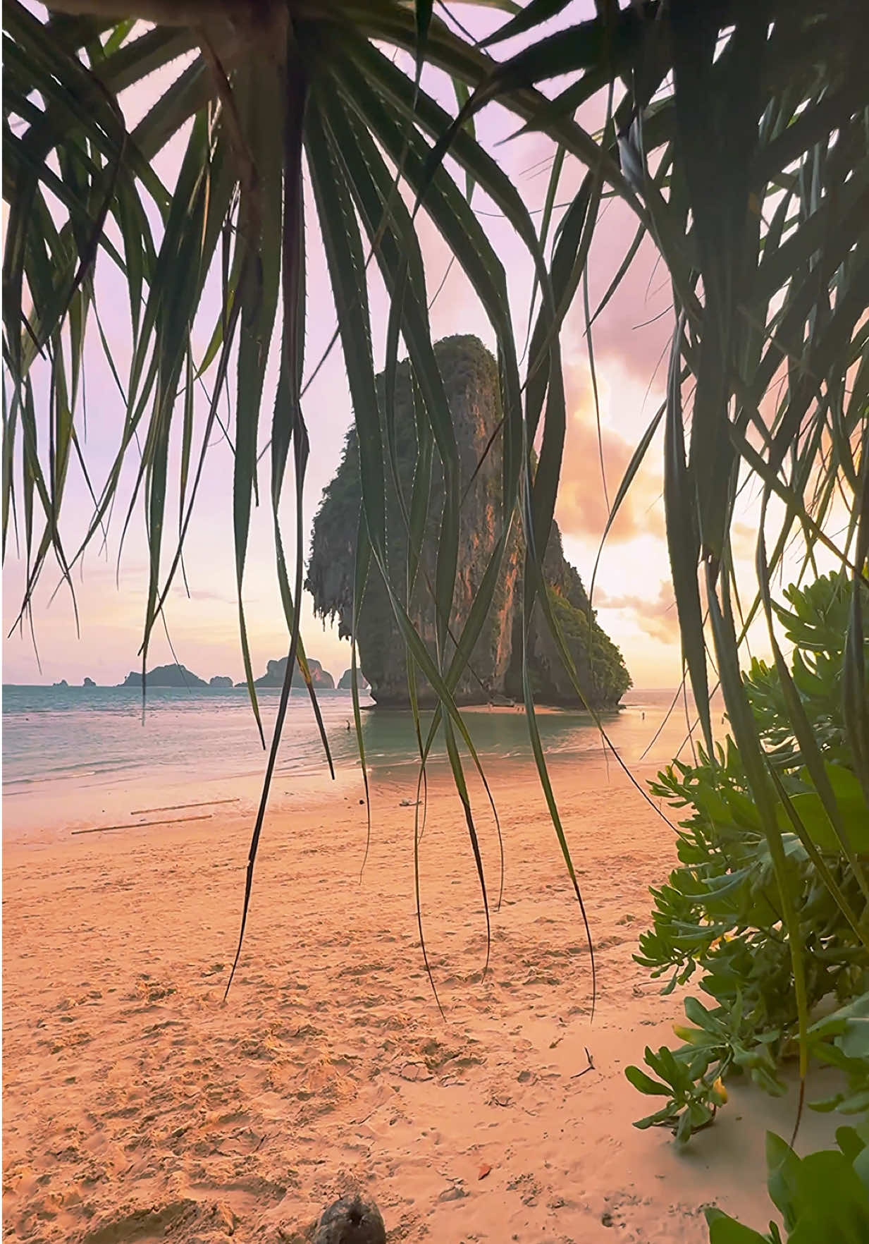 Paradise dreams, peaceful reality 🌴🌅 📍Phra Nang Beach - Krabi , Thailand 🇹🇭  . . #thailand #thailandtravel #krabi #beachvibes #islandlife 
