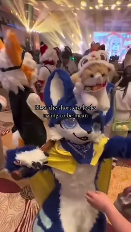 Yeah cro I don’t think you can do much 😭 #fyp #viral #roblox #recommended #contentcreator battlegrounds thestrongestbattlegrounds thestrongestbattlegroundsroblox furry furryfandom furrycommunity furrytiktok 