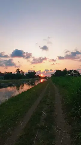 Katresnan Sejati Selamat malam 🌄🎼🌾☺🎧🌴 Selamat beristirahat, .. untuk menjemput rezeki di esok hari .  .  .  #katresnansejati #lagujawa #musicstory #pengantartidur #foryou 