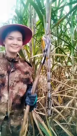 OMG #fruit #asmr #happy #uktiktok #freshfruit 