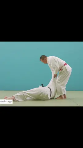 Ippon Seoi nage #judo #judoka_dzk #judoka #training #japan 