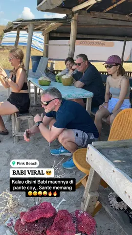 Kalau disini, Babi maennya di pantai Coy, Babi Viral 😜😜🔥🤩 .. #labuanbajo #pinkbeach #komodotrip #labuanbajotrip #nttpride🏝🔥 #komodo #diving 