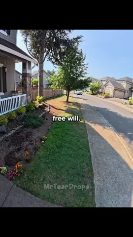 #fyp #funnyvideos #funnymoments #freewill 