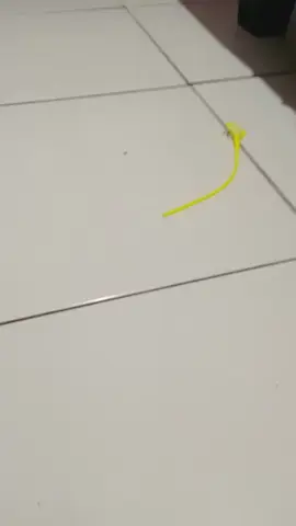 Beyblade versi kW😅😅